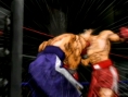 Victorious Boxers entre sur le ring