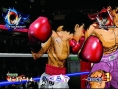 Victorious Boxing à la loupe