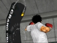 Victorious Boxing à la loupe