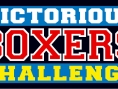 Victorious Boxing à la loupe