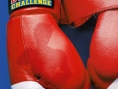 Victorious Boxing à la loupe