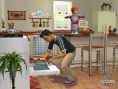 The Sims 2 : Seasons se dévoile