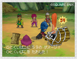 Dragon Quest IX : plus d'images