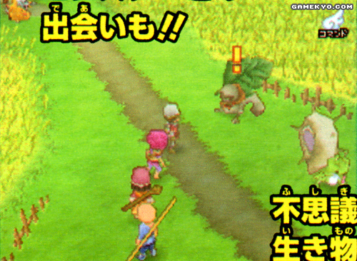 Dragon Quest IX new screenshots !