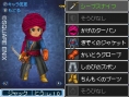 Dragon Quest IX new screenshots