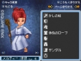 Dragon Quest IX new screenshots