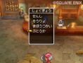 Dragon Quest IX new screenshots