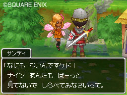 Dragon Quest IX : plus d'images