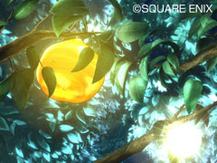 Dragon Quest IX : new screenshots
