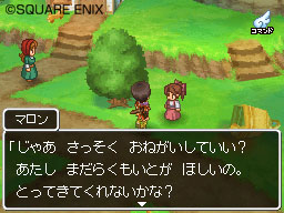 Dragon Quest IX : plus d'images