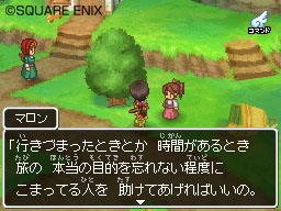 Dragon Quest IX : plus d'images