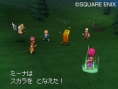 Dragon Quest IX : captures en pagaille