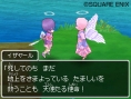 Dragon Quest IX new screenshots