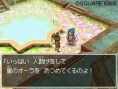 Dragon Quest IX new screenshots