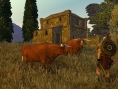Age of Conan sort de son antre