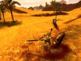 Age of Conan : nouvelles images