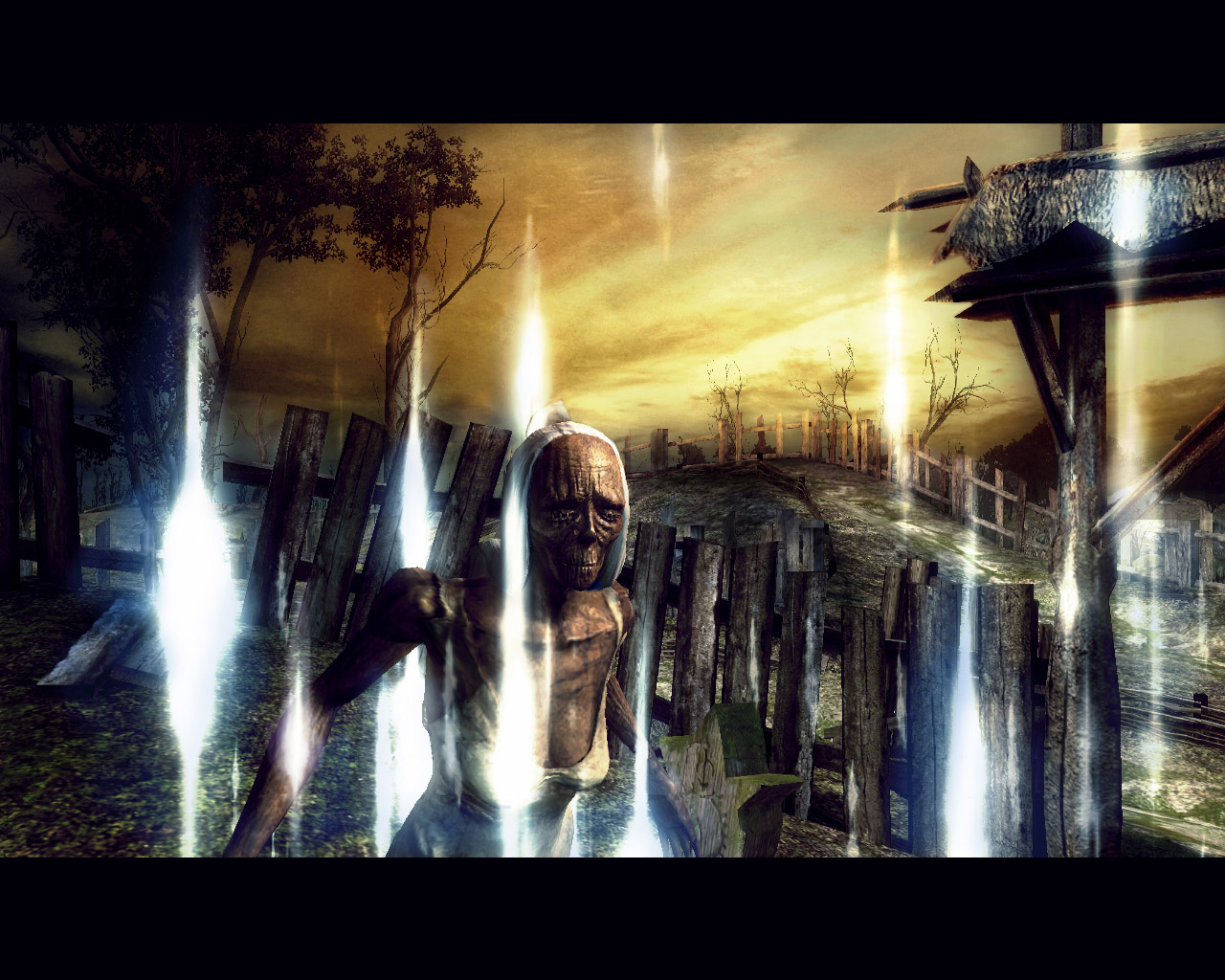 The Witcher en images