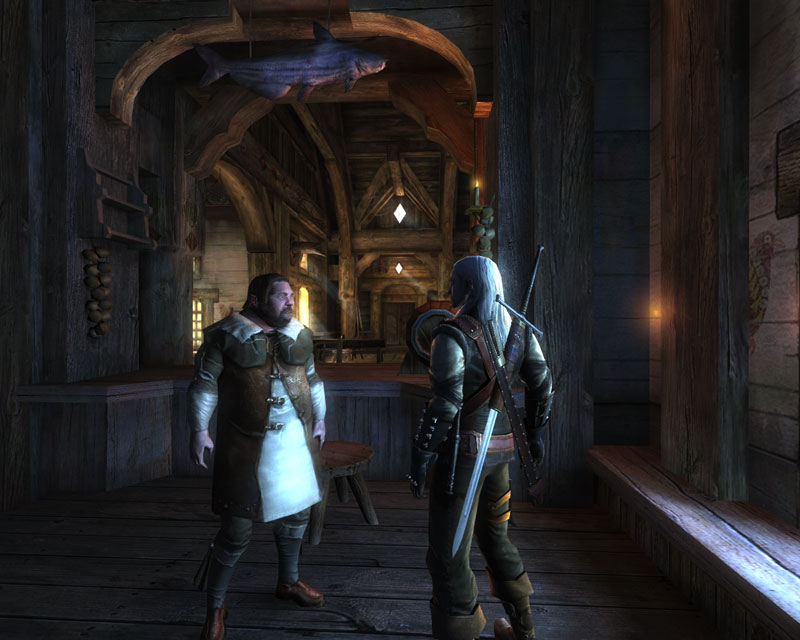 The Witcher s'exhibe