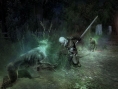 E3 2007 : Images The Witcher
