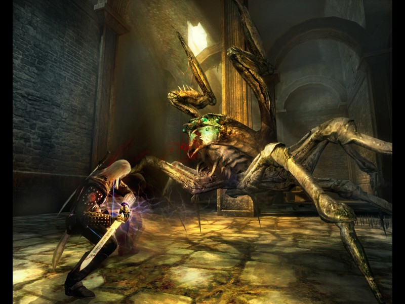 The Witcher en deux images