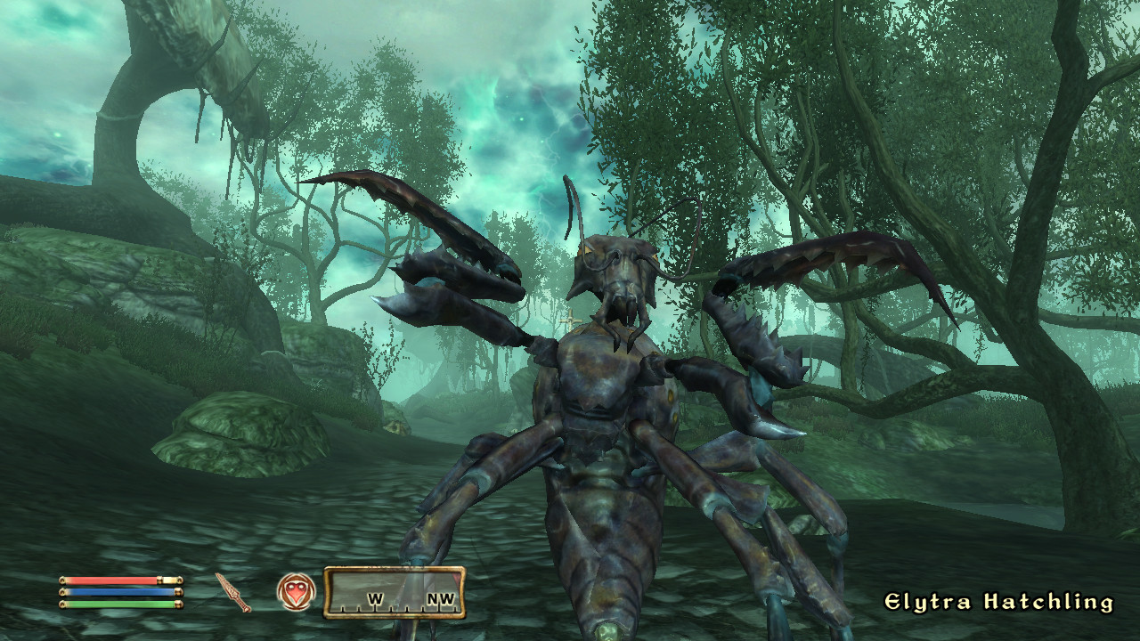 The Shivering Isles en images