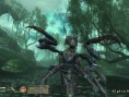 The Shivering Isles en images