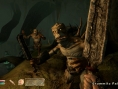 The Shivering Isles en images