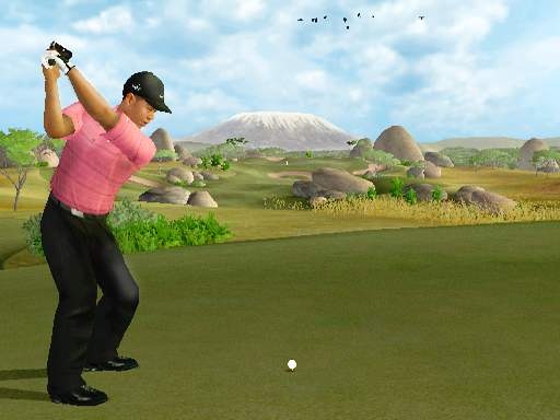 Tiger Woods se dévoile sur Wii