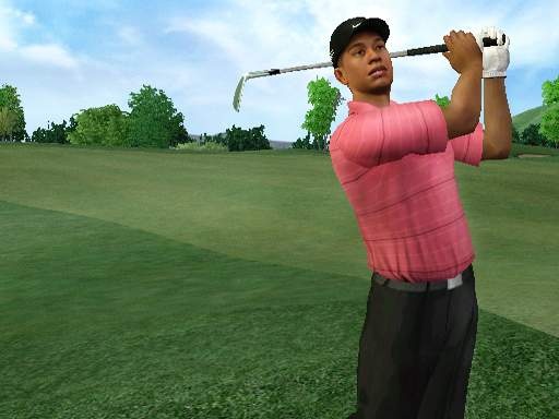 Tiger Woods se dévoile sur Wii