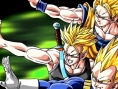 DBZ : Shin Budokai 2