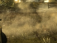 FlatOut se montre sur Xbox 360