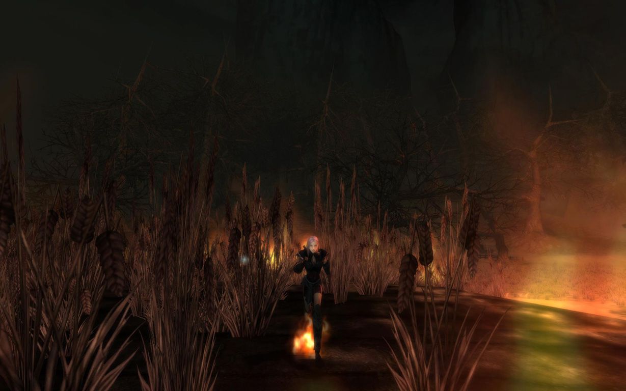 Images Chroniques de Spellborn