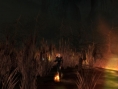 Images Chroniques de Spellborn