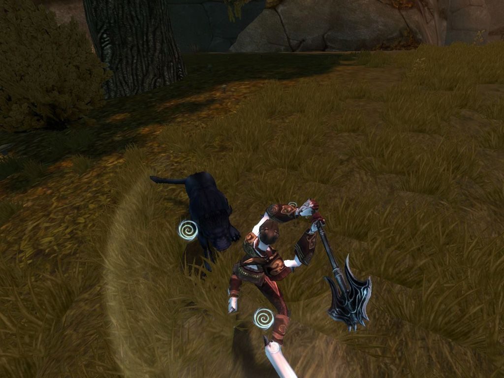 Images Chroniques de Spellborn