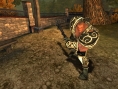 Images Spellborn