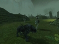 Images Spellborn