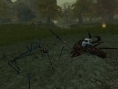 Images Spellborn