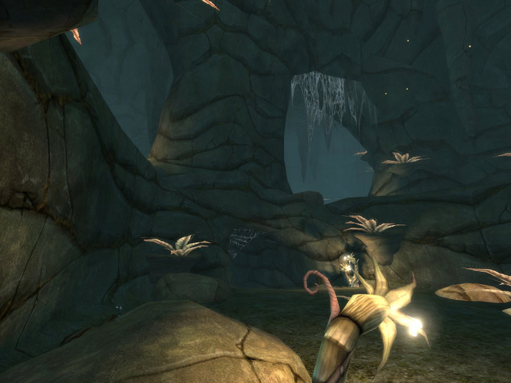 Images Spellborn