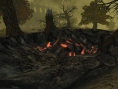 Images Spellborn