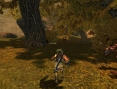 Images Spellborn