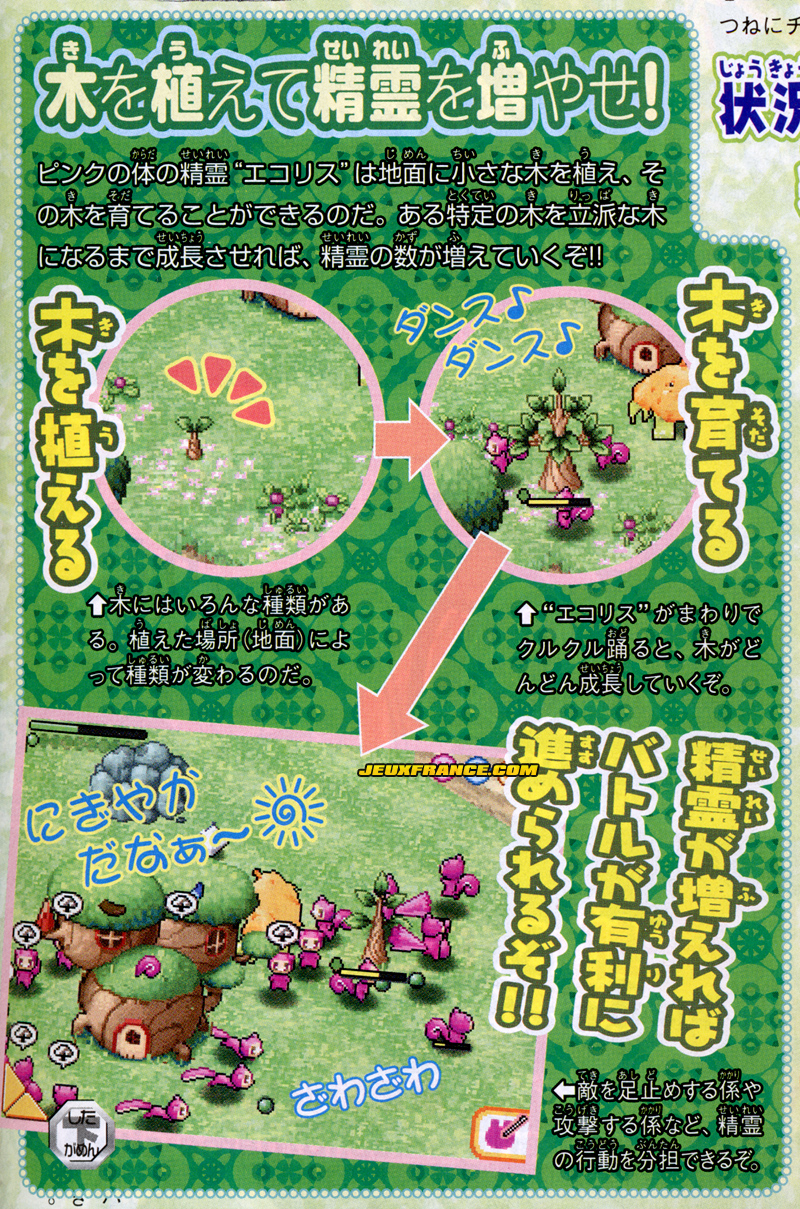 Ecoris : plus d'images