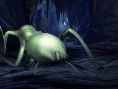 Half-Life 2 : Orange Box se dévoile
