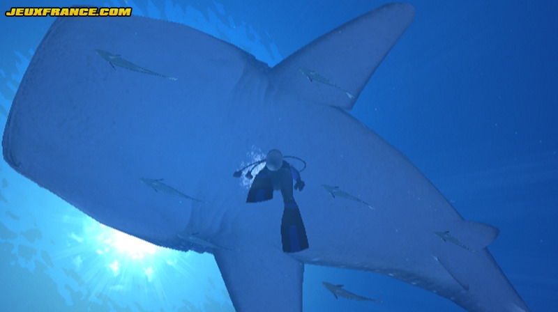 Forever Blue : une image