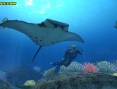 Forever Blue : plus d'images