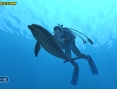Forever Blue : plus d'images