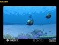 Forever Blue : plus d'images