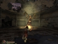 Collapse : images et vidéo