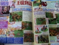 King Story se dévoile sur Wii