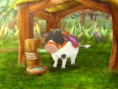 Little King's Story : new trailer + screenshots