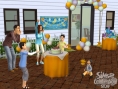 Les Sims 2 : Celebration Stuff annoncé